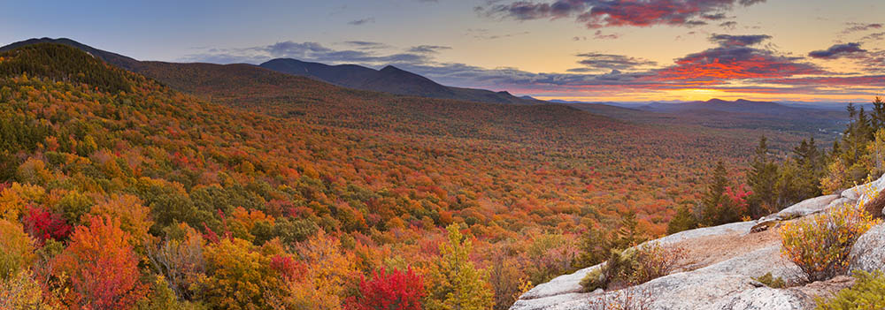 Adobestock 91634393dobson home